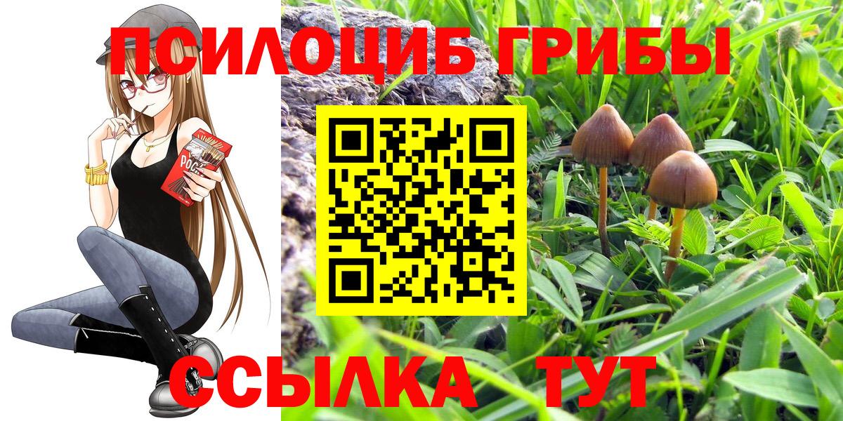 Галлюциногенные грибы Magic Shrooms Нижний Новгород